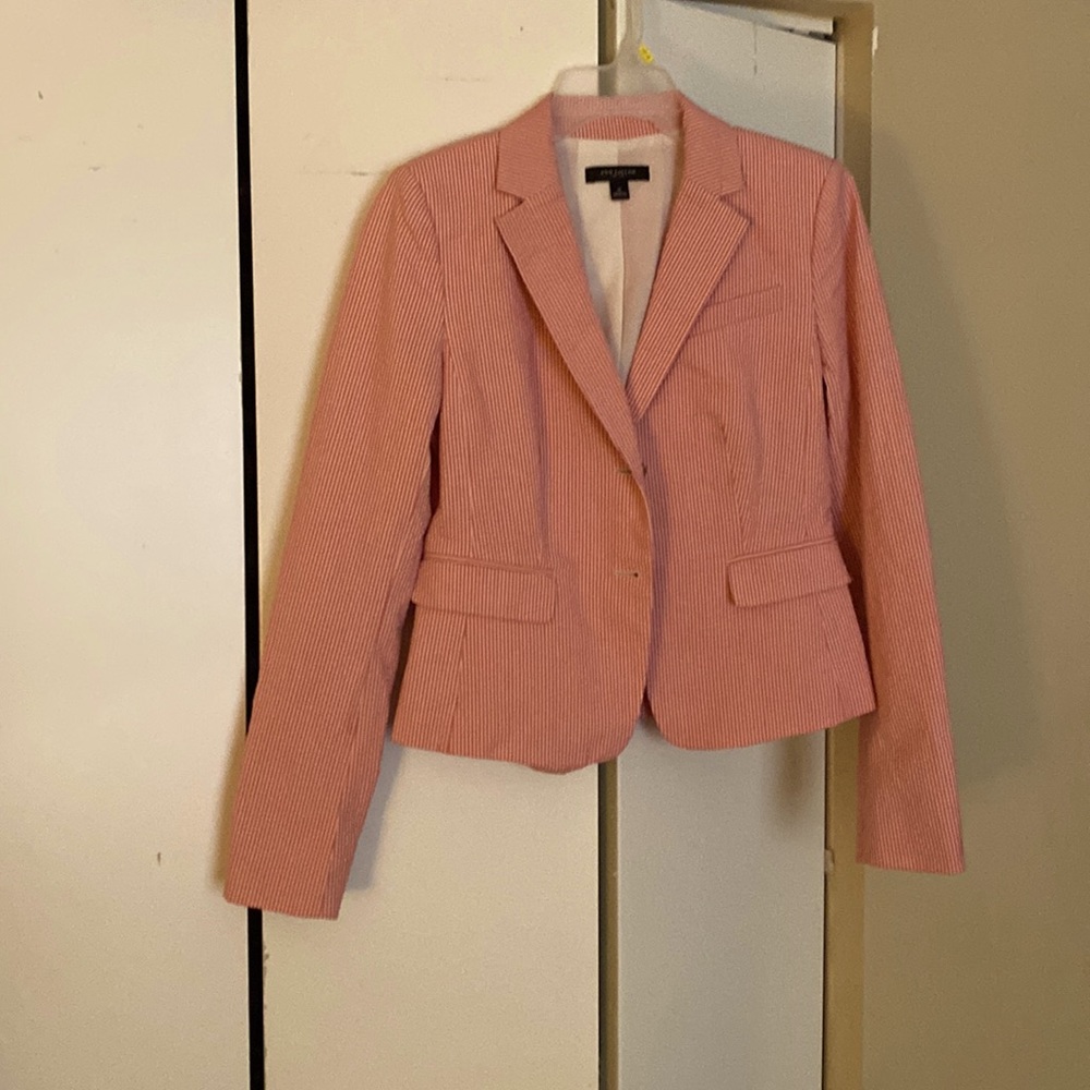 Ann Taylor Collection Sheer Sucker